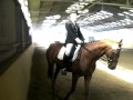 Turniere 2011 178