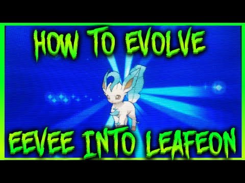 how to get leafeon in pokemon y