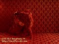 Ok Go - Do What You Want Official Video