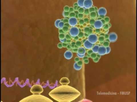 HEPATITE C
