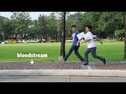 how to measure ldl levels