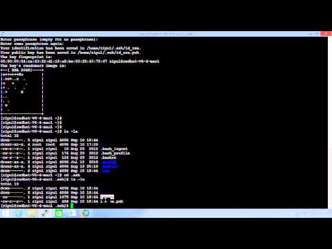 how to provide password in shell script