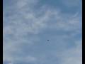 F-14 Tomcat RC \"In volo tra i Falchi\" \" In Flight with the Hawks\"