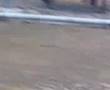 videos de la moto de los tontos