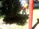 globa jodiendo globa jodiendo
