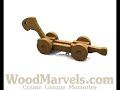Build your own wooden Turtle!