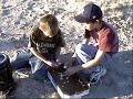Ultimate Diet Coke/Mentos: THE END