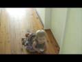 videos de Kiara ne lache plus son Galah