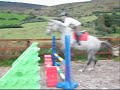 she amazes me more every day. lol shes soooo honest. you point she jumps no matter what size it is. jumped a double yesterday. first part is 95cm the second is 1.05m high and 1.50m wide (5ft) but LOL ... we measured her take off and landing point for the very last jump.. and.. she jumped 5.2 METRES in total :O scope? just getting used to her. gona tone the mad jumping down now and focus on schooling, flatwork and shows. lol had her 3 weeks and ive only jumped her 5 times.. but 3 of times i did quite a bit of playing around to see what she can do... jumped a grid to 1.40m the first day, then like a week later did a grid with corner fences and narrow jumps up to 1.30m and today jumped that 1.50m wide oxer. (all vids on youtube) still gona jump big fences every few weeks cos she seems to love jumping the bigger ones esp. :) her ears are always pricked lol :) and brakes can be an issue. got a show on friday.. just doing the 1m class :) Thanks guys.