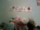 lilkinz class 2