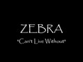 Videos Musicales de Zebra
