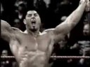The Animal Batista The Animal Batista