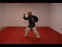 CASA DE KENPO - AMERICAN KENPO - SHORT FORM 1