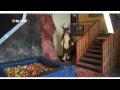 Eurofurence 13 - Official DVD Trailer