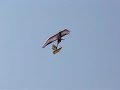 1� V�o da Equipe Uir� de AeroDesign 2007 da UNIFEI