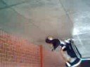 vaka tirada en el piso