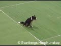 Obedience_wm