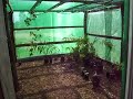Sunshade  - Sunhouse - Halfway house