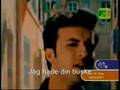 Tarkan Simarik Svensk version