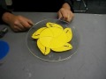 Iris Diaphram Prototype