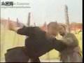Taijiquan Vs Baguazhang