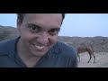 Camel in India Camel in India