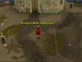 [RSMV] The Beatles- Eleanor Rigby
