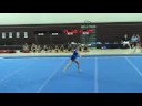 2008 Begonia Gymfest Level 4 Floor