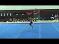 videos de 2008 Begonia Gymfest Level 4 Floor