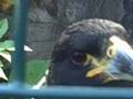 the day at the zoo with me ali and matt aka taff