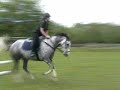 Marius horse riding