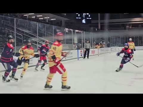 24 Elite Prospects Pre-Draft Showcase, - Michigan State University - Munn Arena - Played Defense - # 5 Blue