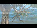sayulita-mexico.html