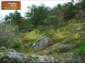 videos de Ten Mile Point Saanich