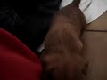 video 056.MPG