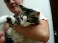 Marquette County Humane Society-Rockelle