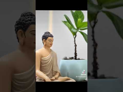 ta-chon-luong-thien-khong-phai-vi-ta-mem-yeu-luong-thien-la-gi-