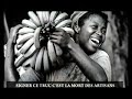a p e
(accords de partenariat economique)
de la p�riode de l'esclavage � la colonisation en passant par la p�riode des ind�pendances.
l'europe a toujours fait signer des accords crapuleux � nos rois, nos chefs, nos leaders et pr�sidents.
elle revient aujourd'hui avec les a.p.e
(accords de partenariat economique)
avec toujours le m�me cynisme et le d�sir de nous duper.
cette fois- ci avec une arme de destruction massive : l'�conomie ultra lib�rale.
l'afrique consciente ne signe pas
www.studiosankara.com/ape
www.myspace.com/didierawadi