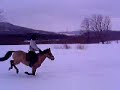 Phantom and Andreane galloping