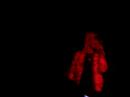 The