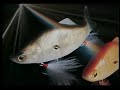 Kazumasa Okumura - Deps Co LTD BassFishign
