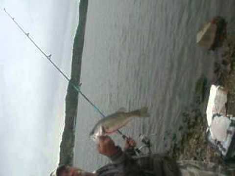 Day at Johnathon Creek on Kentucky Lake 