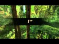 Fatal Inertia Gameplay and walkthrough 2