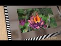 Seura Showroom Video