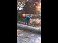 East Longmeadow,MA October 2011 snowstorm cleanup
