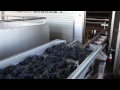 Bodegas Portia, donde se vive el vino / Portia Winery, where life is wine