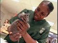 Wash. Animal Rescue League: An Animal Shelter Like No Other