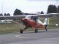 Aero Boero - Aeroclube do Paraná