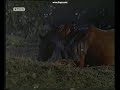 The Silver Brumby - Yarraman Dies The Silver Brumby - Yarraman Dies