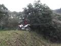 videos de KLX！